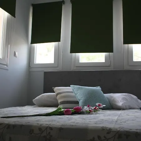 公寓 Lefkas Sunset Luxury Appartments 尼基亚娜