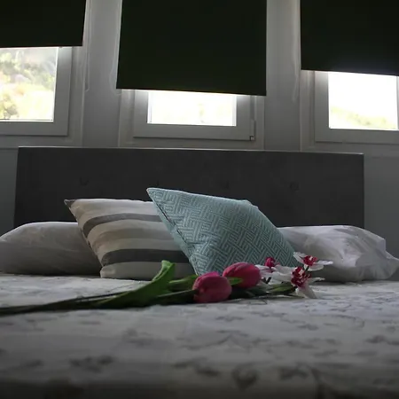 Lefkas Sunset Luxury Appartments 公寓 *